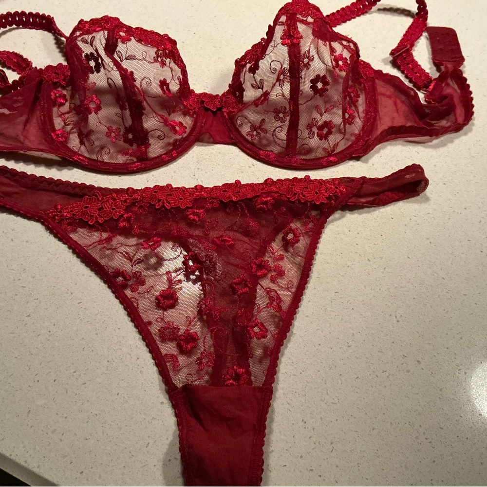 Passionata Red Lace Braand panties with Floral Patterns and Sheer Elegance